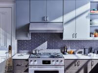 36" Dual-Fuel Pro Range from Signature Kitchen Suite