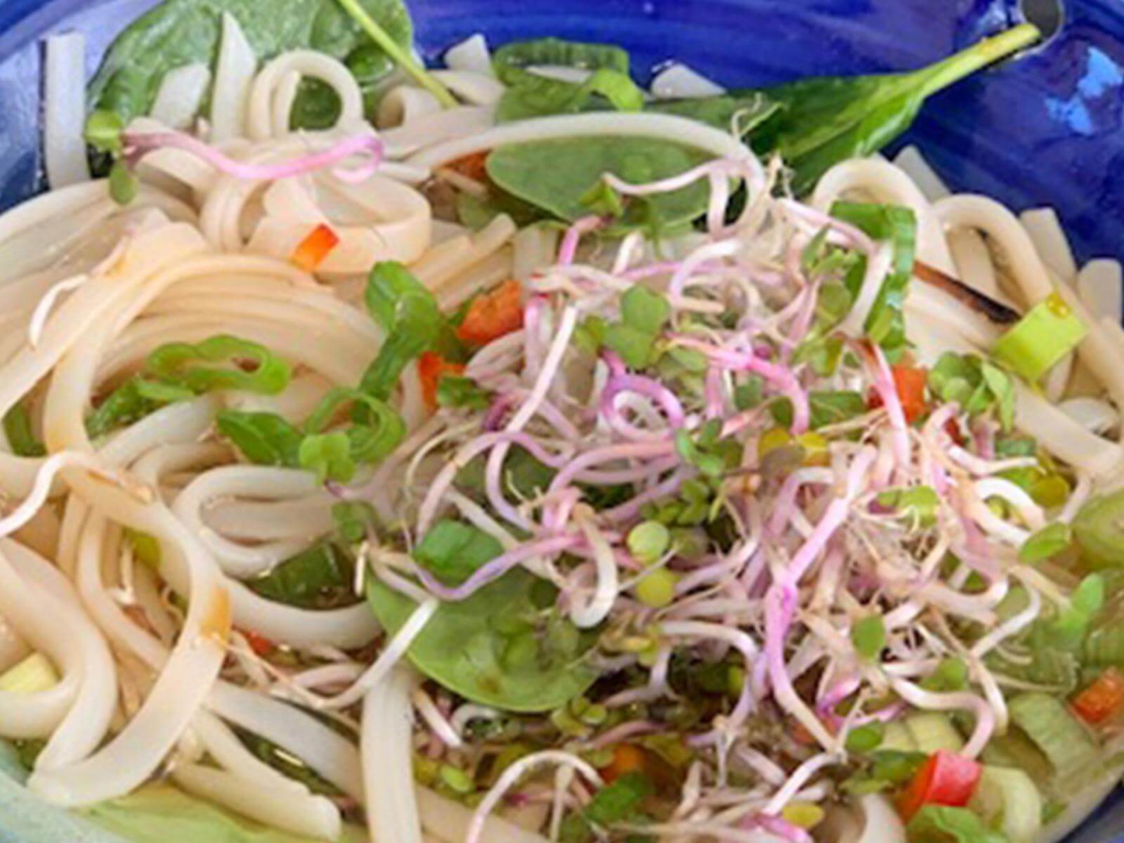 Mixed Mushroom Pho